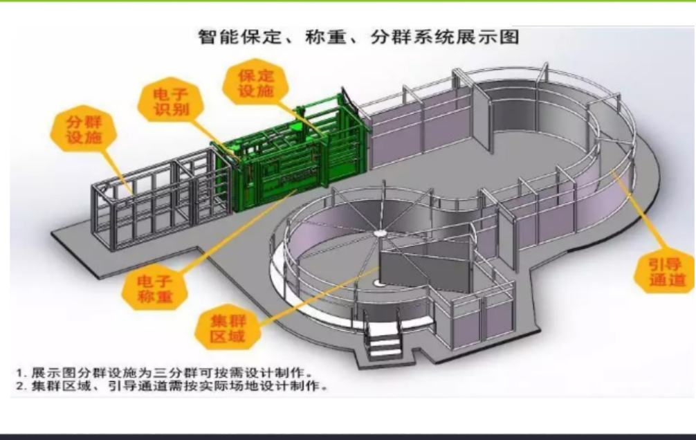 Cow Grouping System